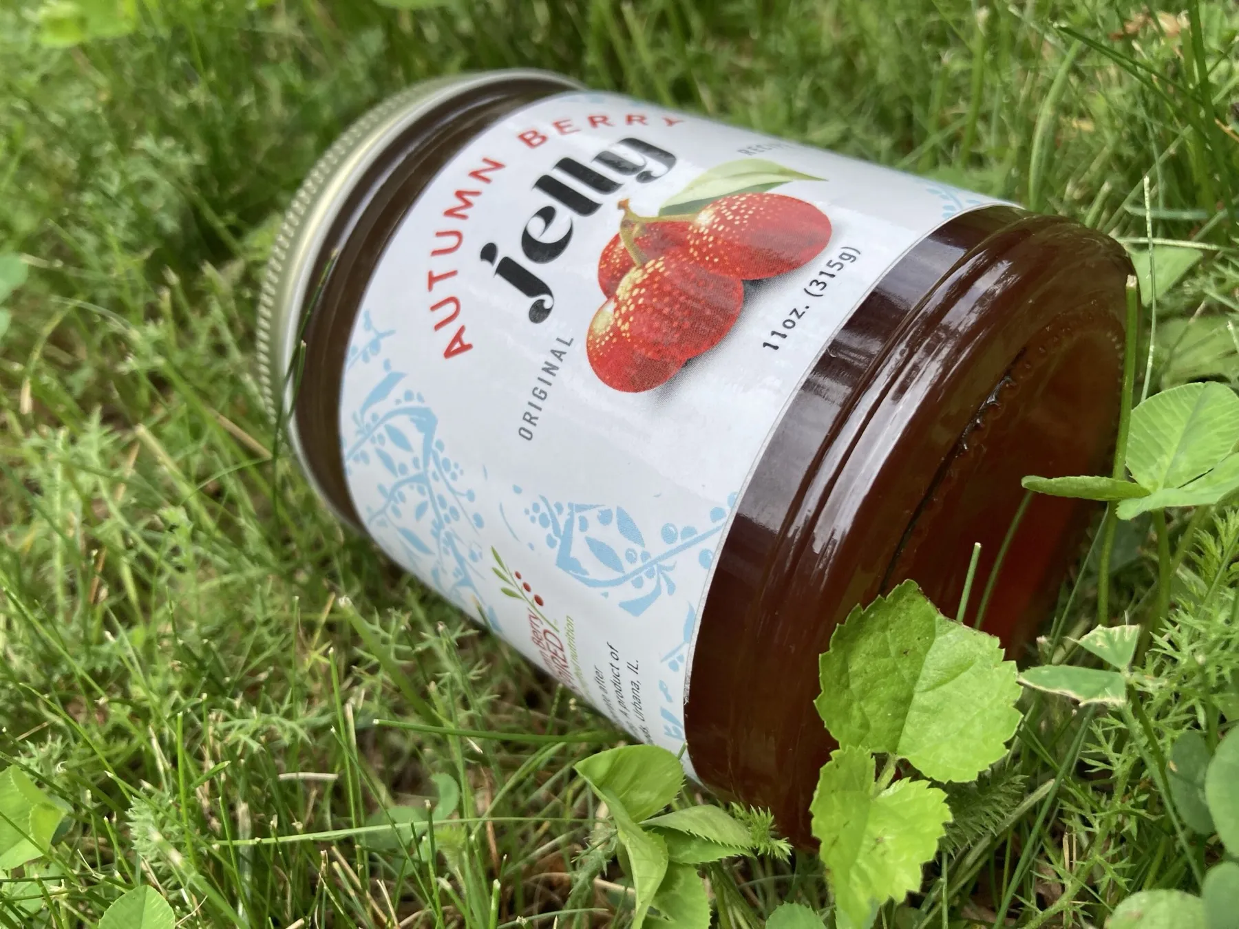 A jar of Autumn Berry Jelly lying in green grass.